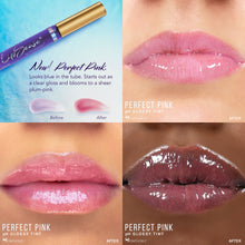 Load image into Gallery viewer, LIPSENSE® PH GLOSSY TINT DUO COLLECTION LipSense Moisturizing LipGloss  5.9ML by Senegence