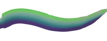 Load image into Gallery viewer, TAG - Sea Dragon 1 Stroke Split Cake 30g