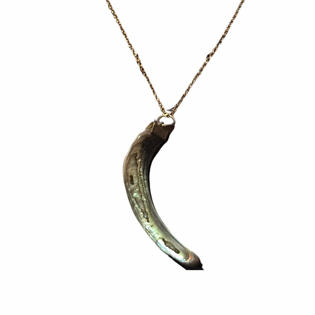 Paua Necklace